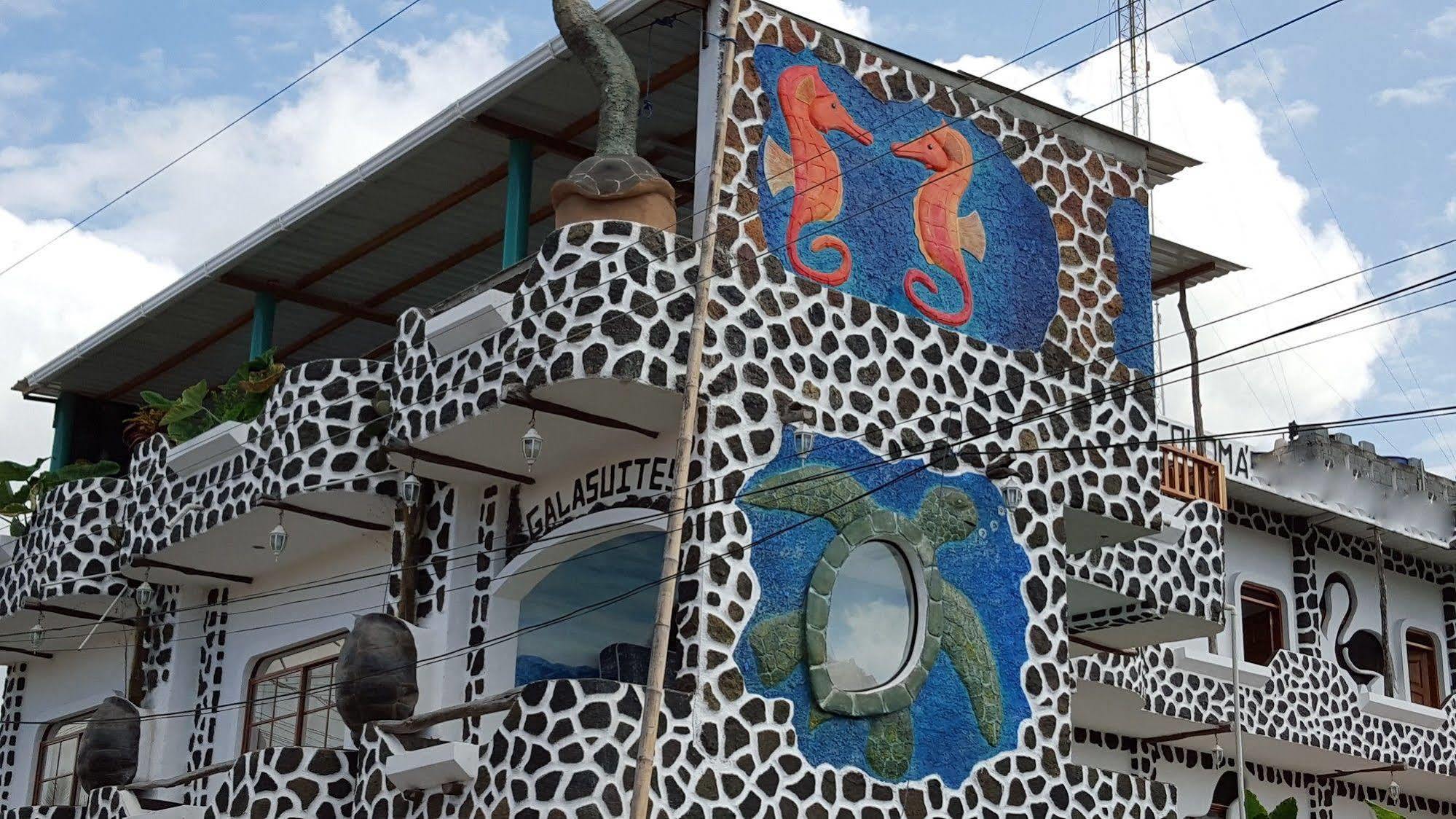 פורטו איורה Hotel Coloma Galapagos מראה חיצוני תמונה